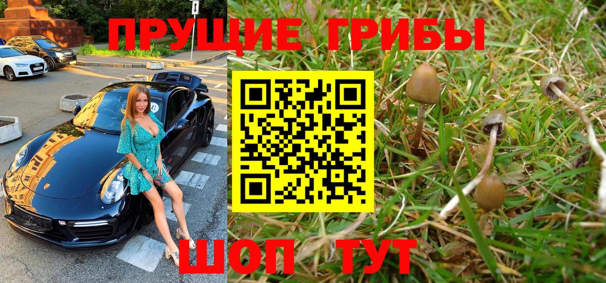 Псилоцибиновые грибы MAGIC MUSHROOMS Севастополь
