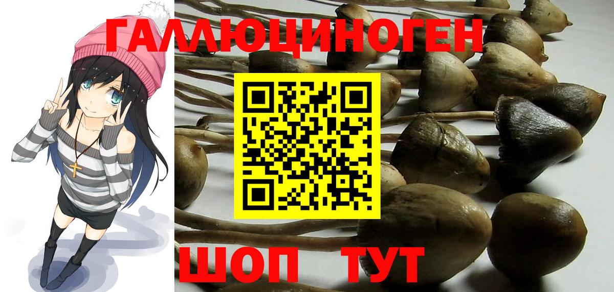 Галлюциногенные грибы MAGIC MUSHROOMS  Вход с VPN  Севастополь 